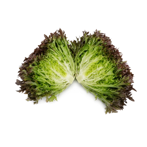 Crisp Salanova Tralex RZ - BIO