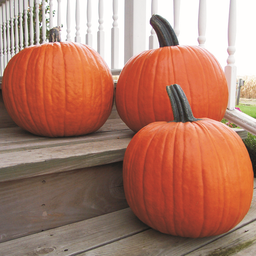 Halloweenpumpa