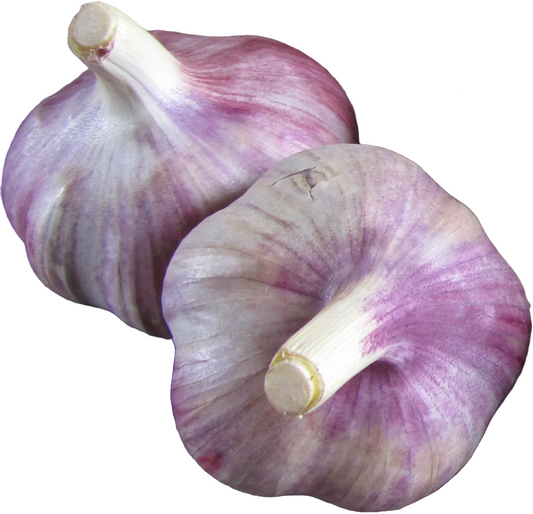 Garlic Karel
