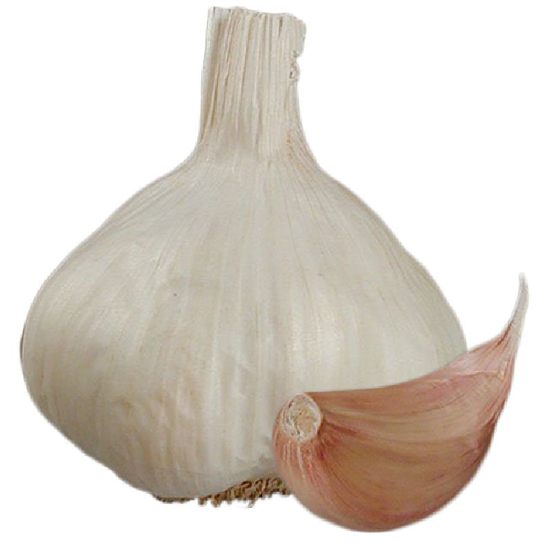 Garlic Flavor