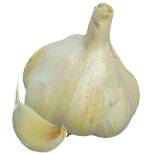 Garlic Therador