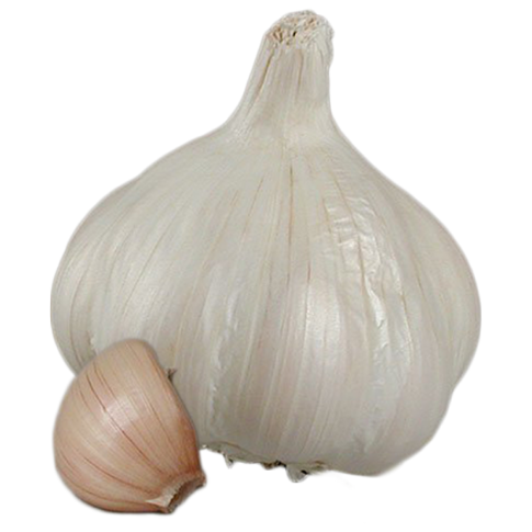 Garlic Clédor