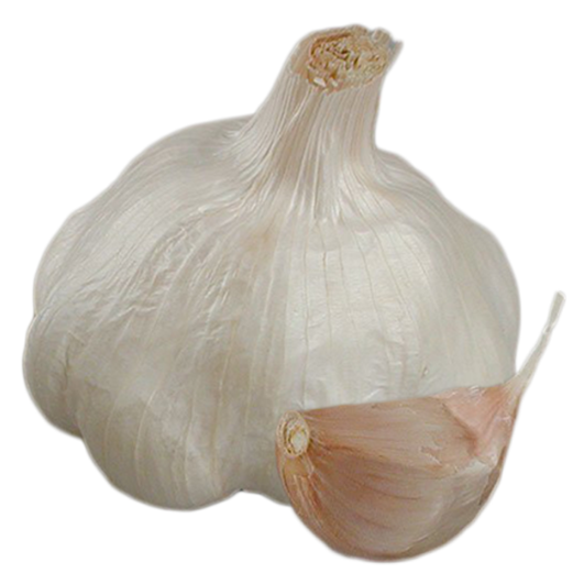 Garlic Thermidrôme