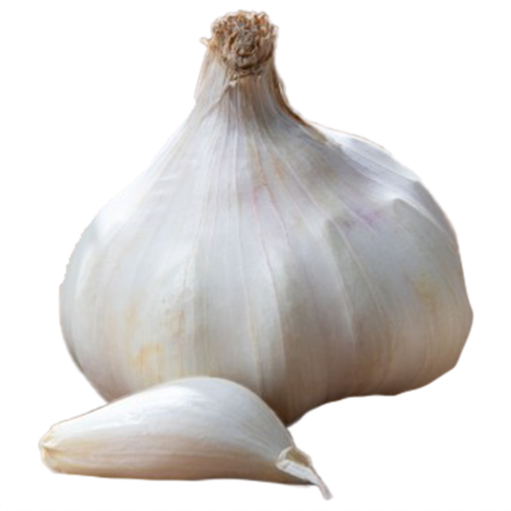 Garlic Rustisem