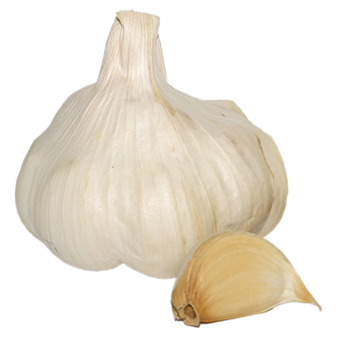 Garlic Messidor