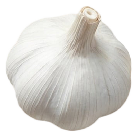 Garlic Topadrôme