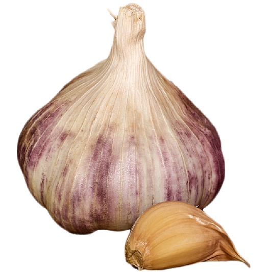 Garlic Valdour