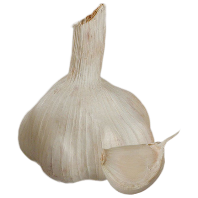Garlic Sabadrôme