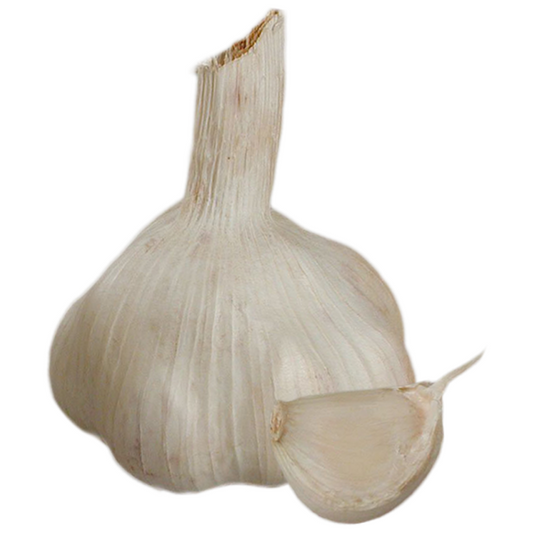 Garlic Sabadrôme