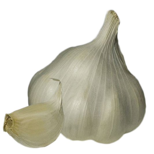Garlic Sabagold
